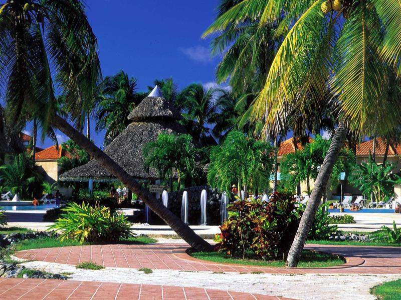 Tropische Poollandschaft mit Palmen, Strohdächern, grünen Pflanzen und blauem Himmel.