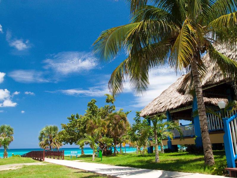 Tropische Strandhütte mit Palmen, grünem Rasen und blauem Himmel am türkisfarbenen Meer.