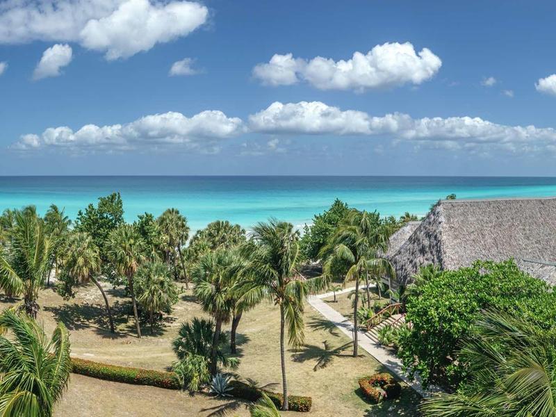 Tropische Küstenlandschaft mit Palmen, Sandweg und Blick auf das blaue Meer unter bewölktem Himmel.
