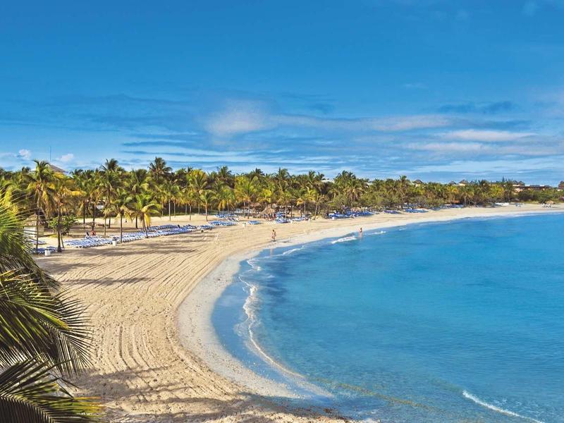 Breiter Sandstrand mit Palmen und blauem Meer unter klarem Himmel.