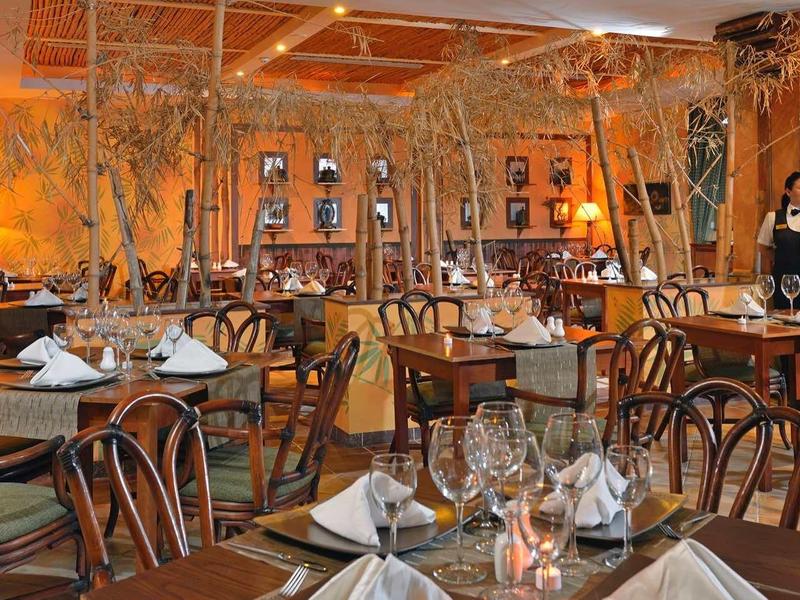 Ristorante accogliente con sedie in legno, tavoli apparecchiati e illuminazione soffusa.