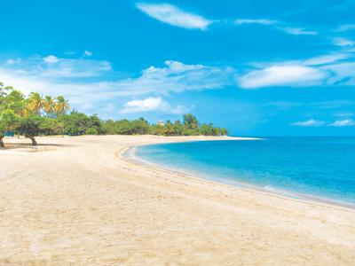 Verlassener Sandstrand mit klarem blauem Himmel und grünen Palmen am Ufer.