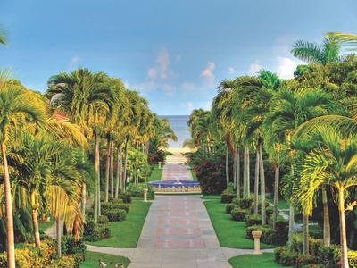 Wybrukowana ścieżka obsadzona wysokimi palmami prowadzi do szerokiego morza pod niebieskim niebem.