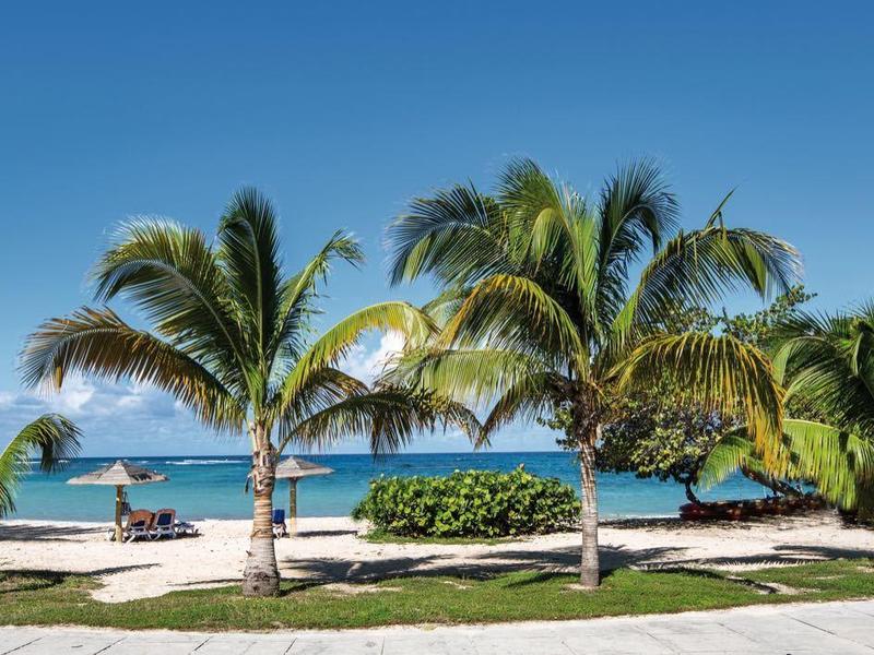 Blick auf einen tropischen Strand mit Palmen und weißem Sand unter blauem Himmel.