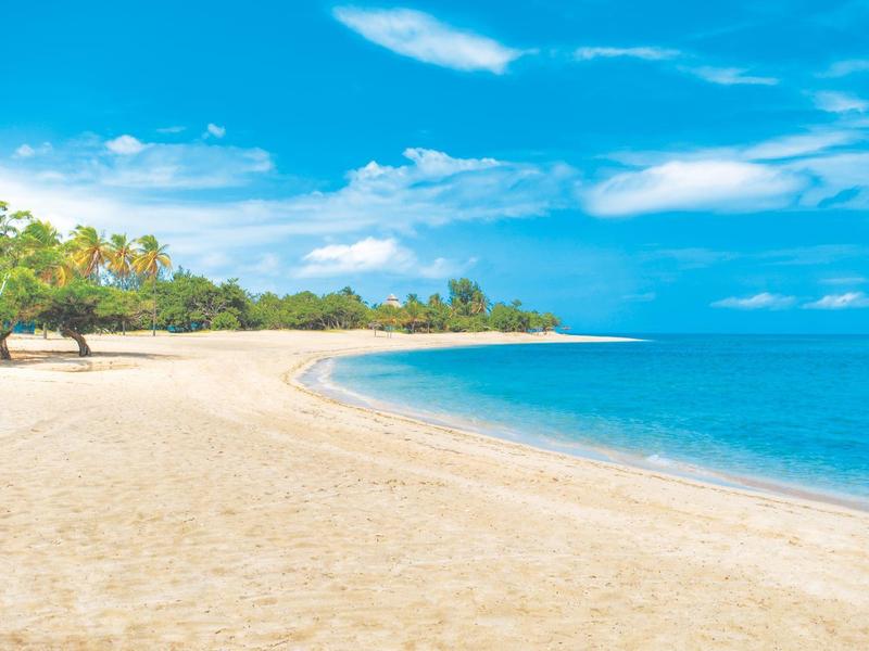 Verlassener Sandstrand mit klarem blauem Himmel und grünen Palmen am Ufer.