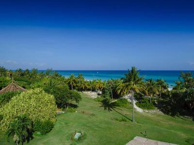 Jardin vert avec des palmiers et vue sur la mer bleue sous un ciel clair