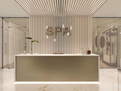 Modern spa reception with minimalist counter and decorative vertical wooden slats.
