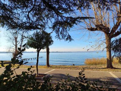 View of a calm lake with trees and a pier under clear sky.