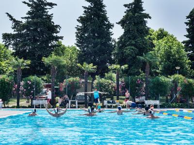 People relax and play in an outdoor pool with trees in the background.