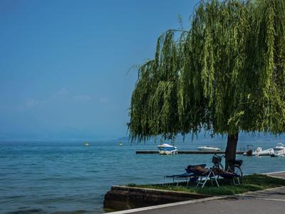 Lake promenade with lounge chairs under a large tree and boats on the water