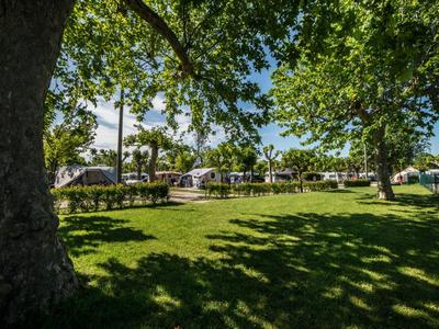 Green park with large trees and tables under clear blue sky in bright sunshine.