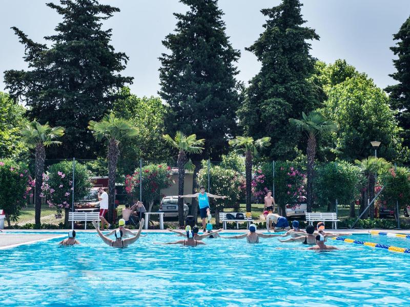 People relax and play in an outdoor pool with trees in the background.