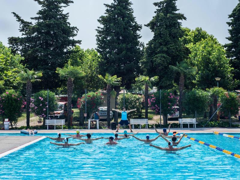 Group of people swimming and jumping in an outdoor pool with trees in the background.