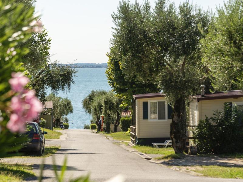 Campingplatz mit grünen Bäumen, Wohnmobilen und Blick auf einen blauen See im Hintergrund.