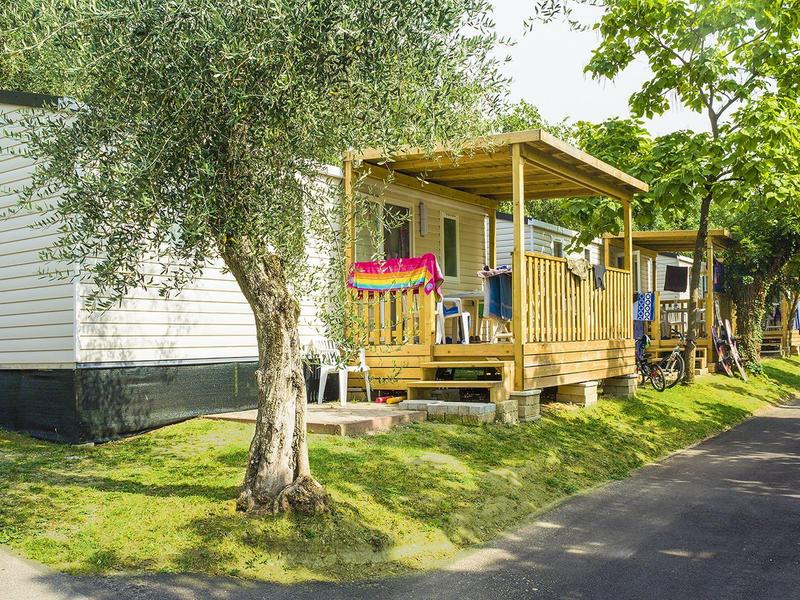 Campingplatz mit mehreren Holzhütten, grünen Bäumen und asphaltierter Straße bei Sonnenschein.