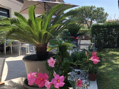 Bloemen en grote potplanten op een hotelterras naast een gazontuin.