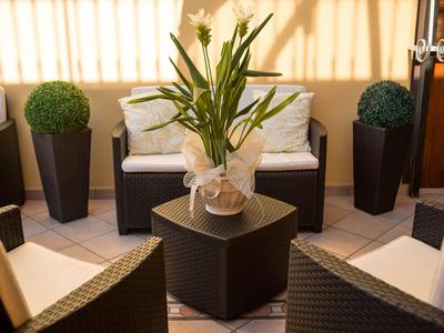 Gemütlicher Sitzbereich mit Pflanzen und Kissen in einem sonnendurchfluteten Raum.