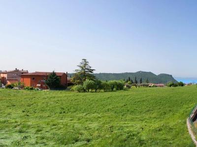 Grünes Feld mit niedrigen Bäumen und Häusern darunter, blauer Himmel über Hügeln im Hintergrund.