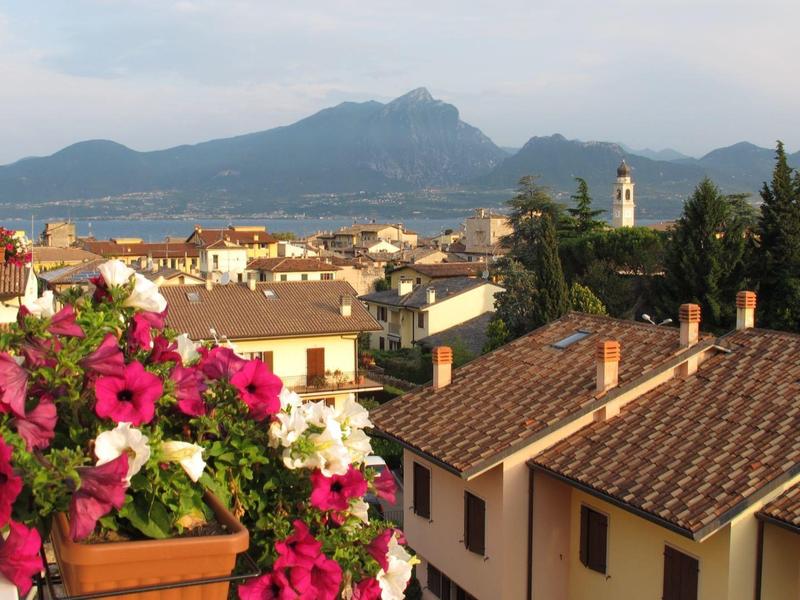 Vista de los tejados de la ciudad con montañas al fondo y flores en flor en primer plano.