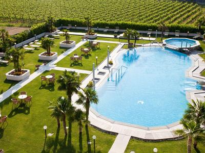 Grande piscina all'aperto con lettini e prato curato accanto a vigneti