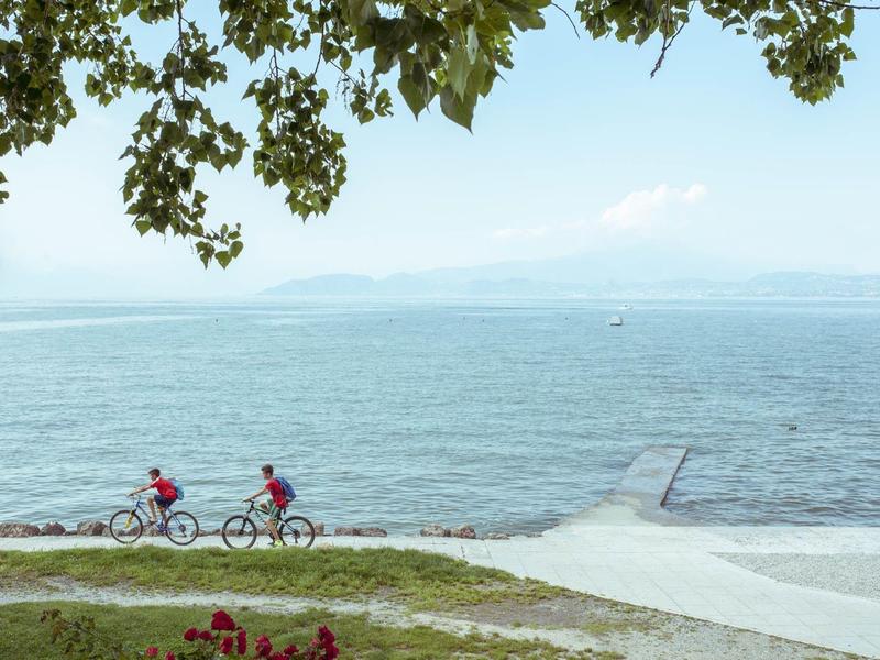 Zwei Radfahrer fahren auf einem Weg am Seeufer, darüber grüne Baumäste und blauer Himmel.