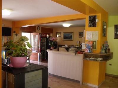 Accogliente banco ricevimento hotel con piante e pareti gialle in un interno invitante.