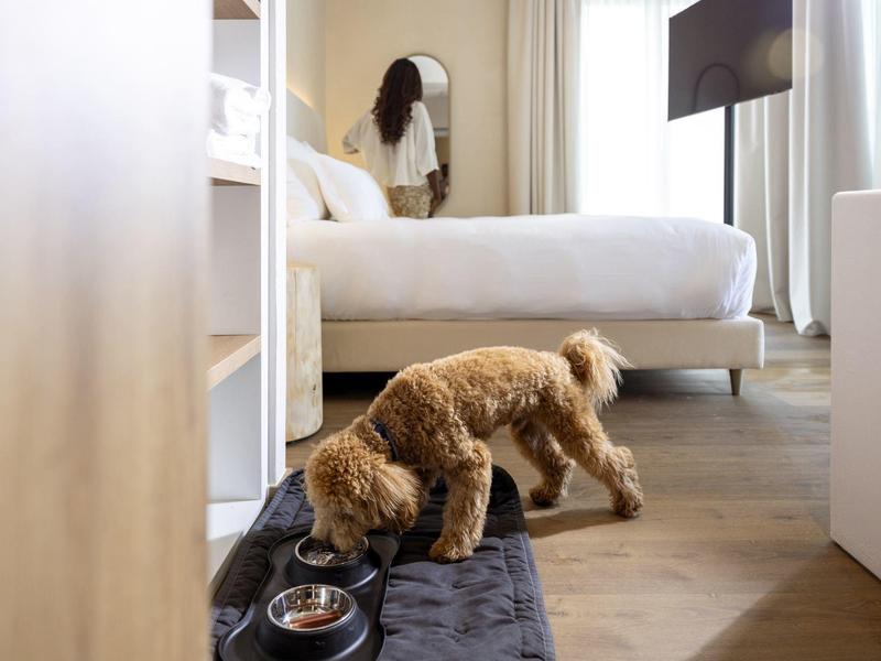 Un perro bebe agua de un recipiente en una habitación de hotel moderna con cama y televisor.