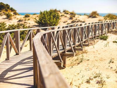 Holzsteg mit Geländer führt durch Sanddünen zu einem Strand bei sonnigem Wetter.