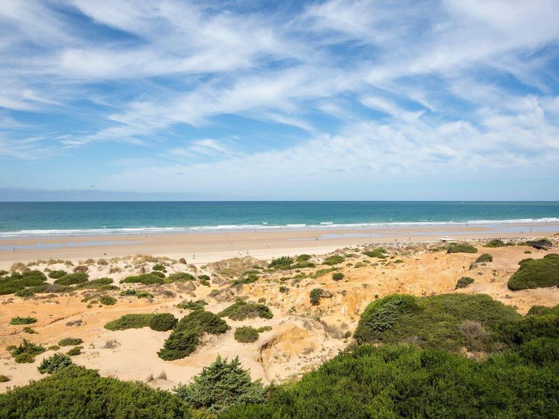 Küstenlandschaft mit Sanddünen, grün bewachsenen Büschen und einem blauen Himmel mit Wolken.
