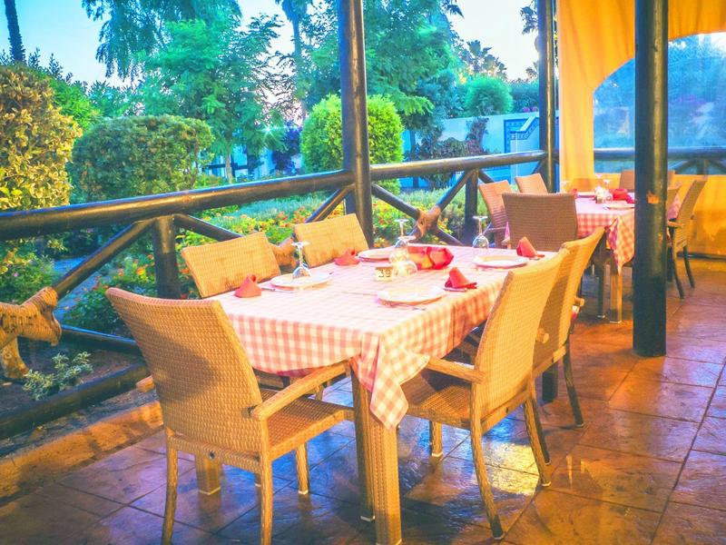 Terrassenrestaurant mit Tischen, karierten Tischdecken, Stühlen und grüner Gartenkulisse.