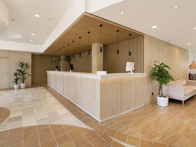 Heller Empfangsbereich mit langem Holztresen, Sessel, Pflanzen und moderner Deckenbeleuchtung.