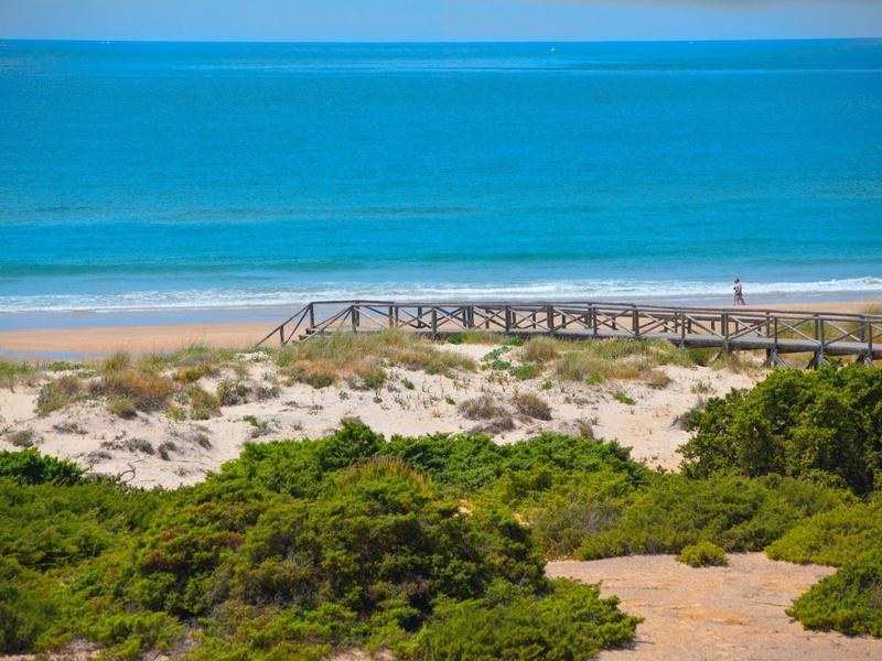 Strand mit blauem Meer, Sanddünen und grünem Buschwerk im Vordergrund bei klarem Himmel.
