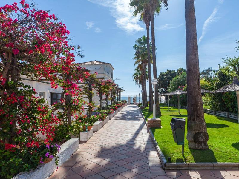Viale lastricato con palme e fiori che conduce a una spiaggia soleggiata.