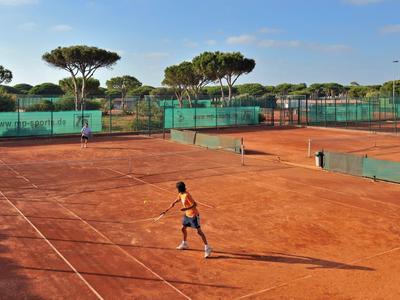 Roter Sand-Tennisplatz mit Spielern, grünen Zäunen und Bäumen im Hintergrund unter blauem Himmel.