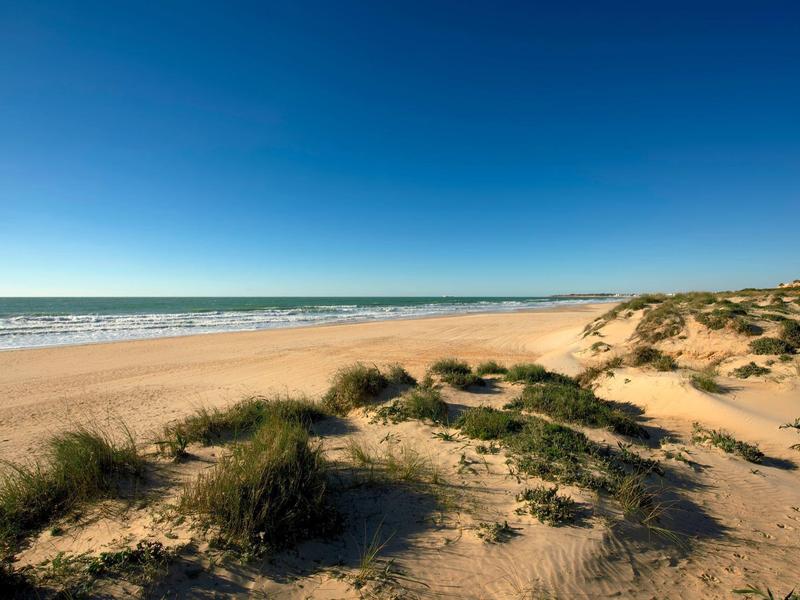 Zandstrand met duinen en gras onder een heldere blauwe lucht aan zee.