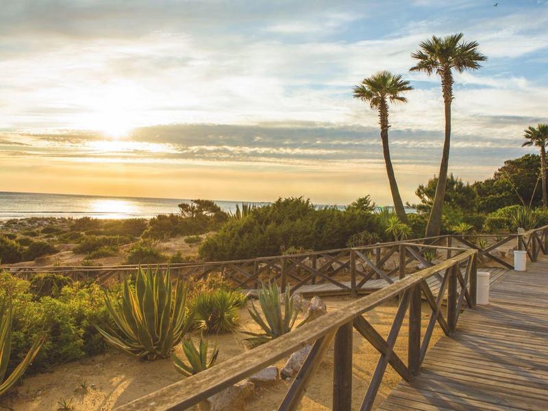 Zonsondergang langs een kustpad met palmbomen en een hek bij het strand.