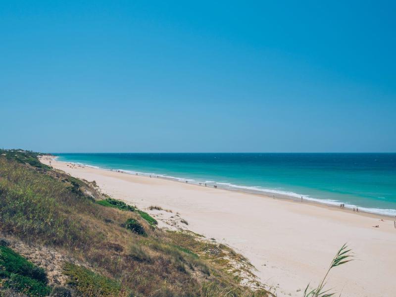 Lange, lege zandstrand met blauwe lucht en groen begroeide duinen op de voorgrond.