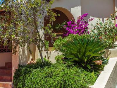 Einfamilienhaus mit bunter Gartenanlage, Palmen und blühenden Sträuchern, blauer Himmel.