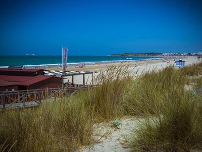 Sanddünen mit Gras, dahinter Strandbars und ein endloser Sandstrand unter klarem blauem Himmel.