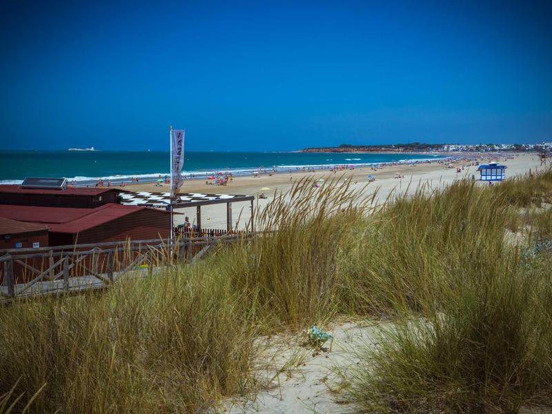 Sanddünen mit Gras, dahinter Strandbars und ein endloser Sandstrand unter klarem blauem Himmel.