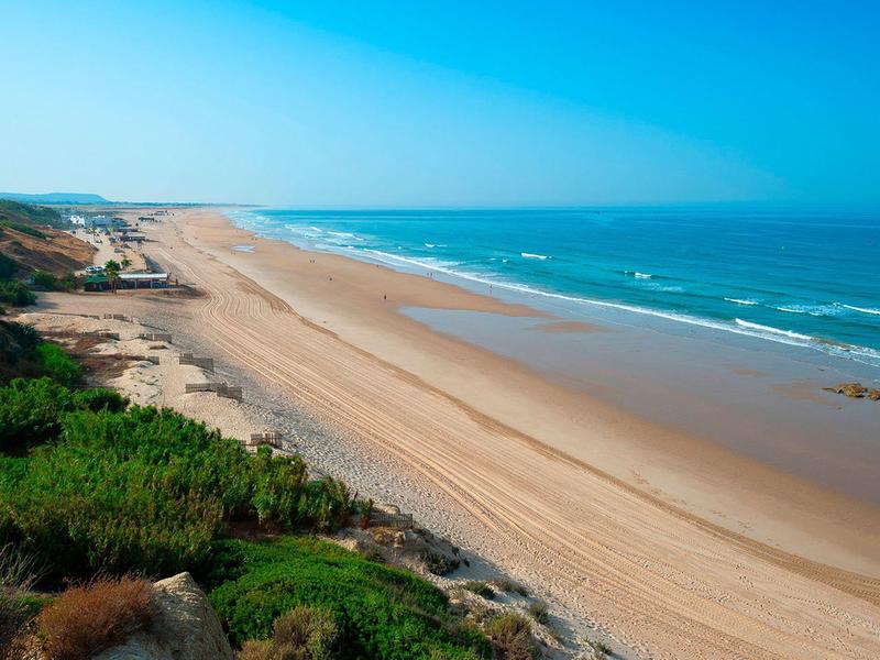 Uitgestrekt zandstrand met groene struiken en blauwe lucht bij de zee