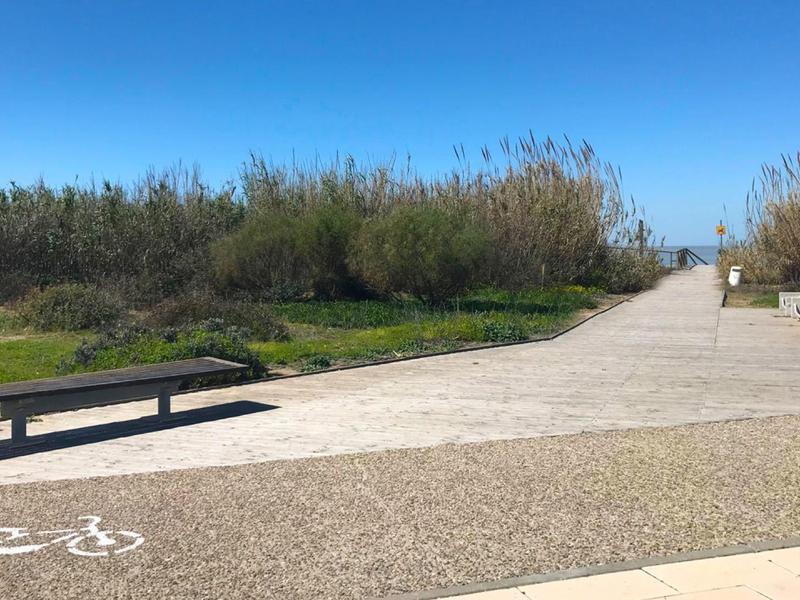 Sentiero con pista ciclabile che attraversa un'area erbosa sotto un cielo blu chiaro.