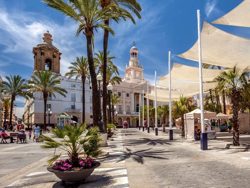 Plaza con palmeras, flores y edificios históricos bajo un cielo azul en un día soleado.