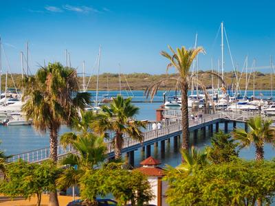 Porticciolo con barche a vela, palme e un molo sotto un cielo azzurro limpido.