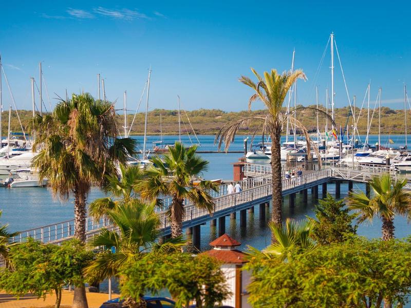 Porticciolo con barche a vela, palme e un molo sotto un cielo azzurro limpido.