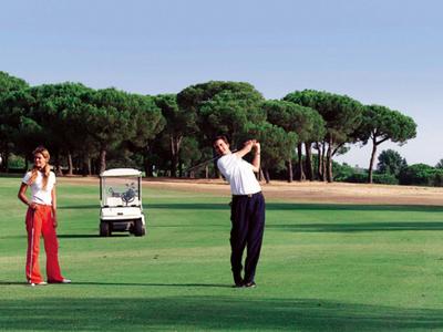 Zwei Personen spielen Golf auf einem grünen Golfplatz mit einem Golfwagen im Hintergrund.