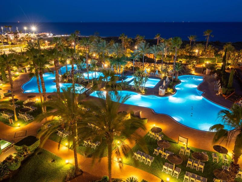 Beleuchteter Pool mit Palmen und Liegestühlen bei Nacht am Meer.