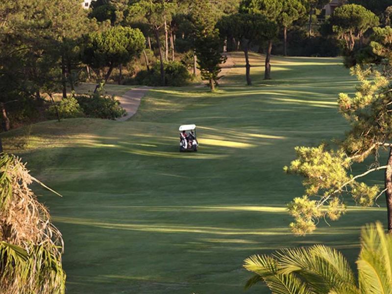 Golfplatz mit grüner Wiese, Bäumen und Meer im Hintergrund, zwei Personen im Golfwagen.