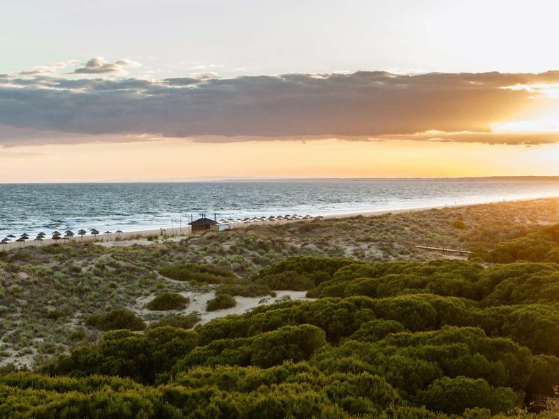 Landschaft mit grünen Dünen, Strand, Vögeln am Wasser und untergehender Sonne am Horizont.