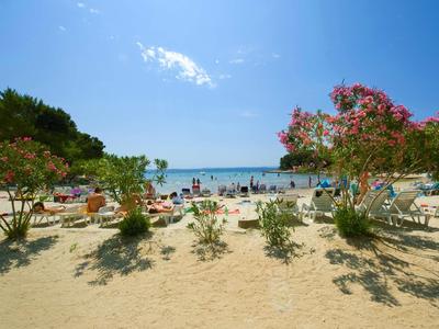 Strand mit Sand, Pflanzen und Gästen unter klarem blauem Himmel am Meer.